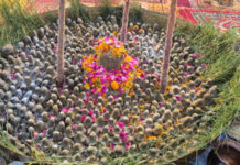 सितारगंज:—श्री शिव पार्थिव पूजन एवं भजन संध्या से भक्तिमय हुआ वातावरण